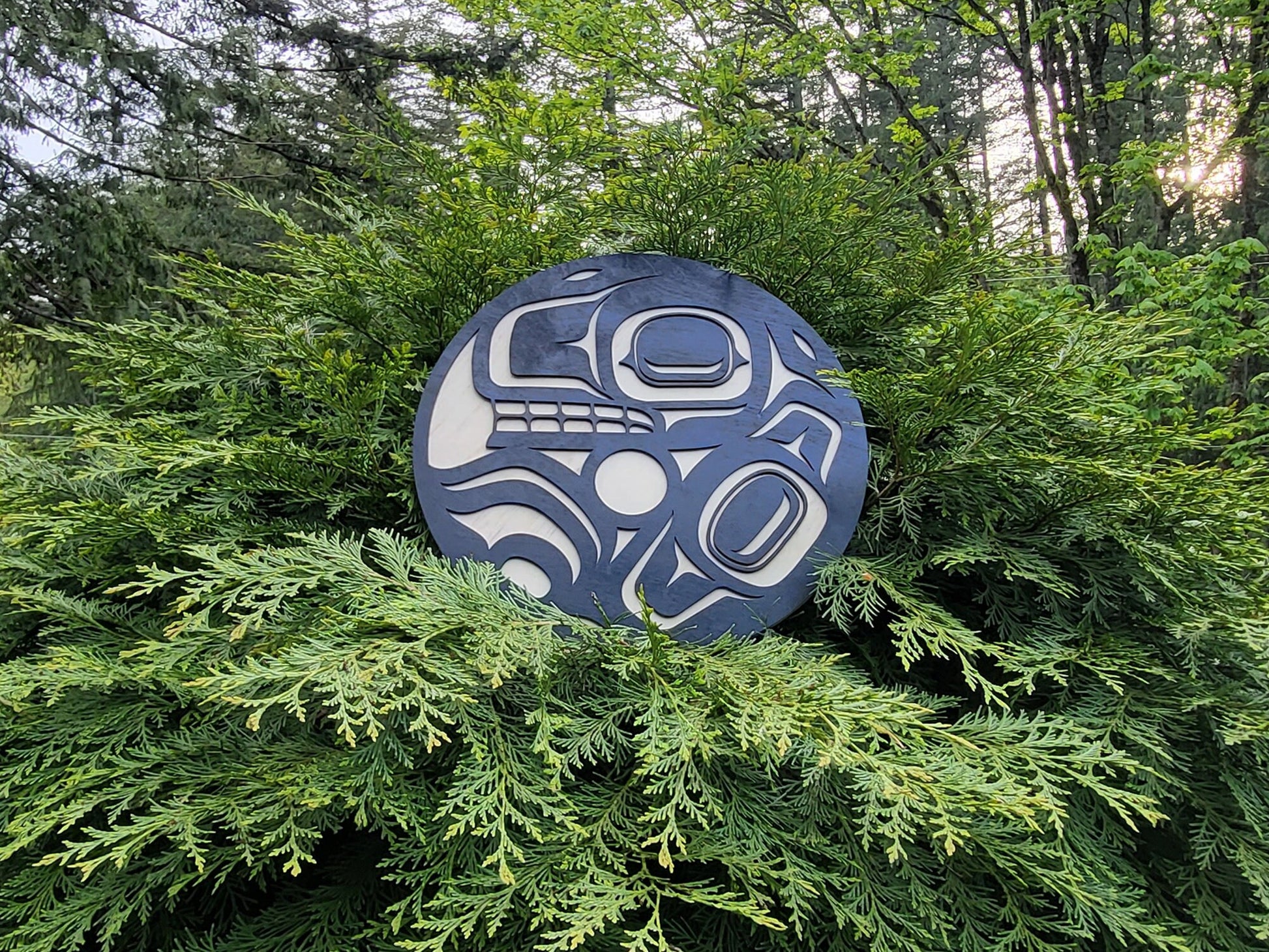 Coast Salish Bear Wall Art